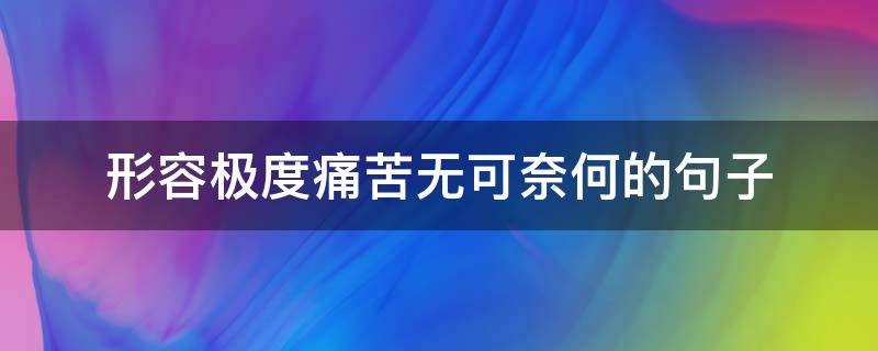 形容极度痛苦无可奈何的句子（形容痛苦又无奈的成语）