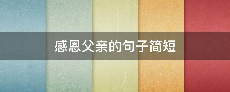 感恩父亲的句子简短（感恩父亲的句子简短你的不在乎好像）