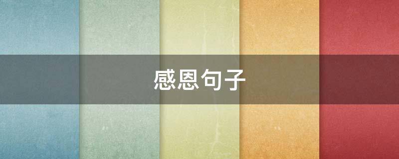 感恩句子（感恩句子的经典句发朋友圈）