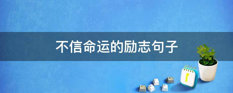 不信命运的励志句子（一切皆有定数,凡事不可强求）