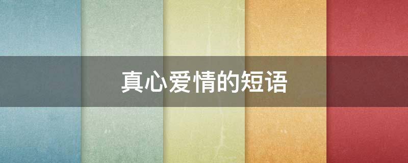 真心爱情的短语（真心爱情的短语句子）