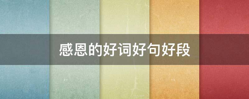感恩的好词好句好段（感恩的好词好句好段摘抄）