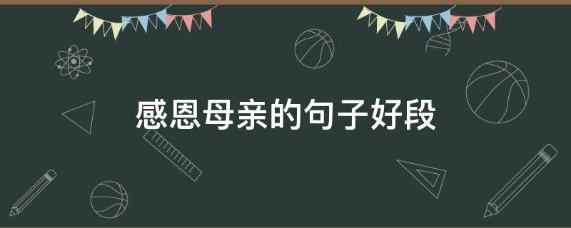 感恩母亲的句子好段 感恩母亲的优美句段