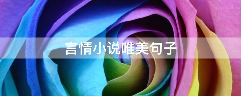 言情小说唯美句子（言情小说唯美句子简短）