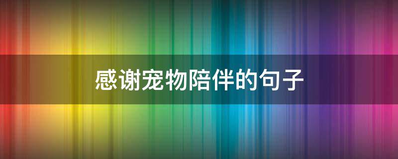 感谢宠物陪伴的句子 感谢宠物陪伴的句子暖心