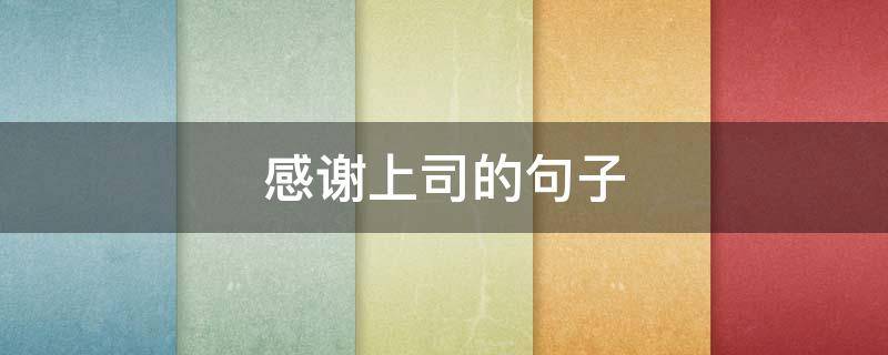 感谢上司的句子（感谢上司的句子怎么说）