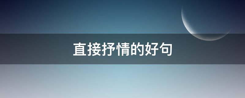 直接抒情的好句（直接抒情的好句子摘抄大全）