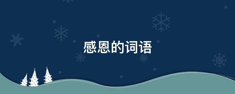 感恩的词语（感恩的词语和句子大全）