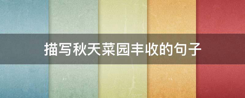 描写秋天菜园丰收的句子（描写秋天菜园丰收的句子唯美）