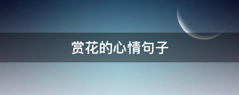 赏花的心情句子 赏花的心情句子发朋友圈