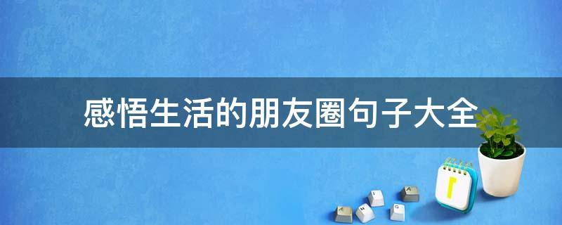感悟生活的朋友圈句子大全（感悟生活的朋友圈句子大全简短）