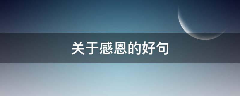 关于感恩的好句（关于感恩的好句好段摘抄）