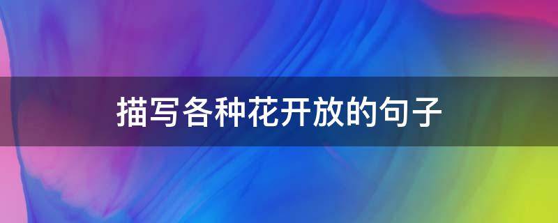 描写各种花开放的句子 描写各种花开放的样子句子