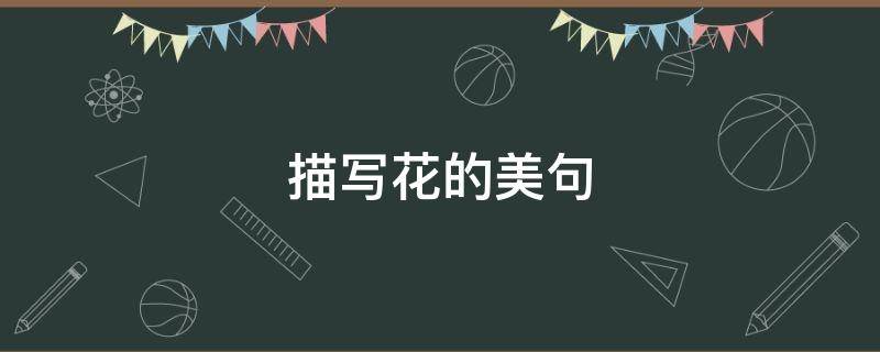 描写花的美句（描写花的美句一年级）