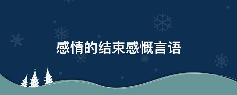 感情的结束感慨言语（感情结束的句子经典语录）