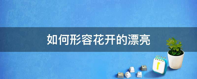 如何形容花开的漂亮（如何形容花开的漂亮的成语）