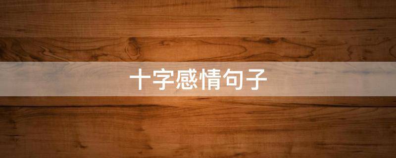 十字感情句子（十字感情句子大全）
