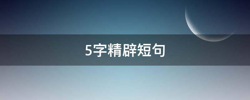 5字精辟短句（5字精辟短句夸人）