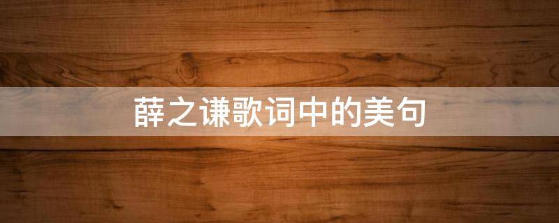 薛之谦歌词中的美句（薛之谦歌词中的美句是什么）