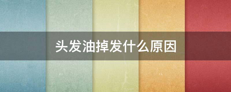 头发油掉发什么原因 头发油掉发严重,有补救的方法吗