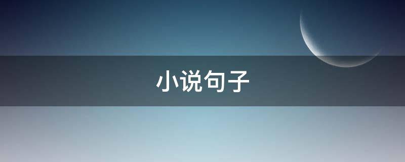 小说句子（小说句子摘抄 经典语录）