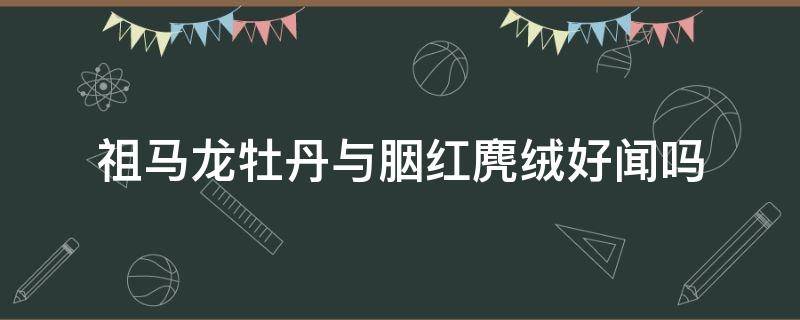 祖马龙牡丹与胭红麂绒好闻吗 祖马龙红丝绒