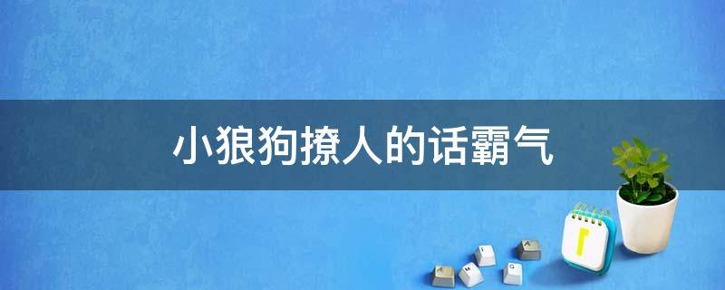小狼狗撩人的话霸气（小狼狗怎么和女朋友聊天）