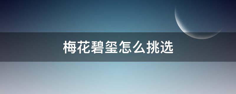 梅花碧玺怎么挑选（梅花碧玺怎么挑选好坏）