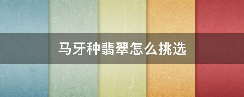 马牙种翡翠怎么挑选 什么是马牙种翡翠