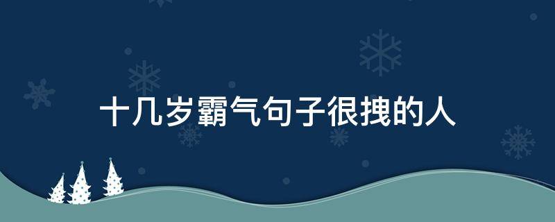 十几岁霸气句子很拽的人（十几岁的语录）