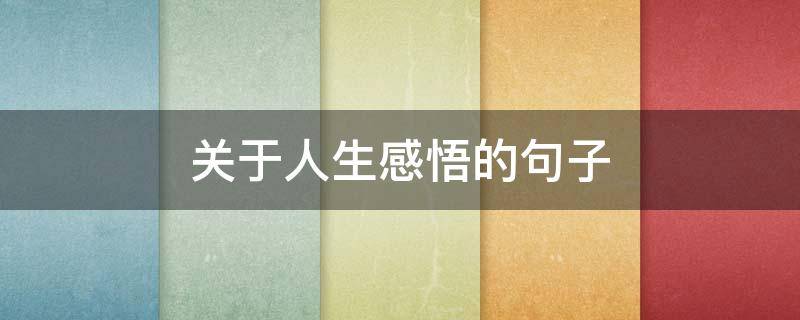 关于人生感悟的句子 关于人生感悟的句子唯美