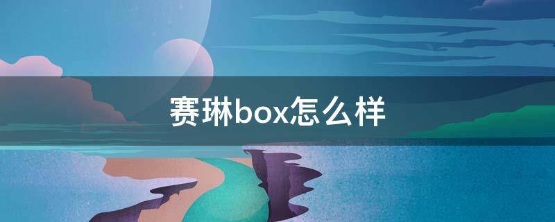 赛琳box怎么样（塞琳box尺寸）
