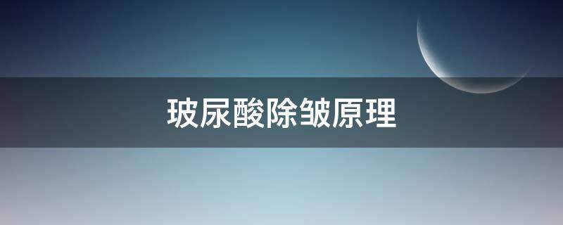 玻尿酸除皱原理 玻尿酸除皱原理图
