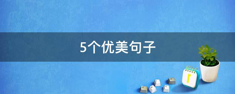 5个优美句子（课外书的5个优美句子）