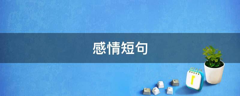 感情短句 感情短句伤感