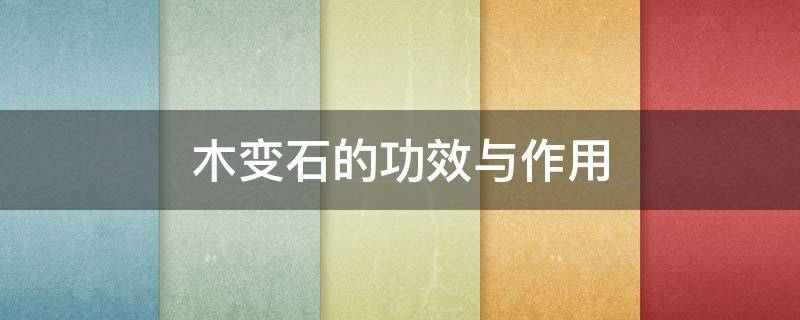 木变石的功效与作用（猫眼木变石的功效与作用）