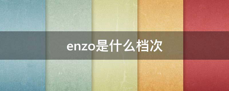 enzo是什么档次 enzo是什么档次 很贵吗