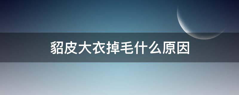 貂皮大衣掉毛什么原因（貂皮大衣掉毛什么原因造成的）