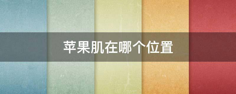 苹果肌在哪个位置（苹果肌在哪个位置算下垂）