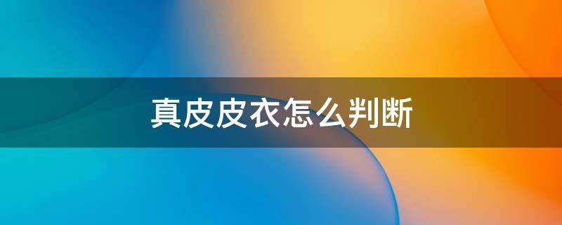 真皮皮衣怎么判断（真皮皮衣怎么看）