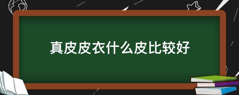 真皮皮衣什么皮比较好（真皮衣什么牌子好）