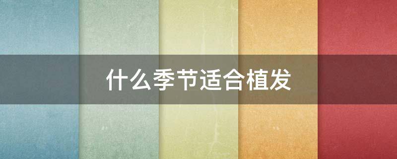 什么季节适合植发 什么季节最适合植发