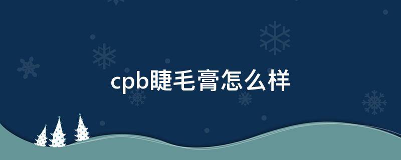 cpb睫毛膏怎么样