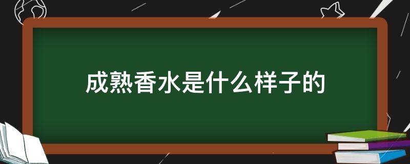 成熟香水是什么样子的（成熟香水是什么样子的呢）