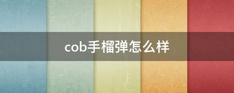cob手榴弹怎么样 o1a1手榴弹