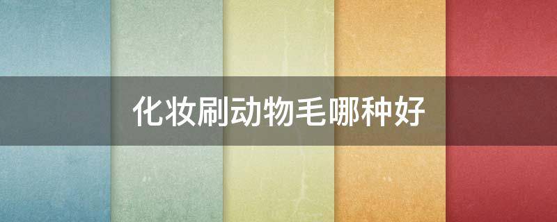 化妆刷动物毛哪种好（化妆刷 动物毛）