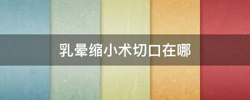 乳晕缩小术切口在哪（乳晕缩小术切口在哪里）