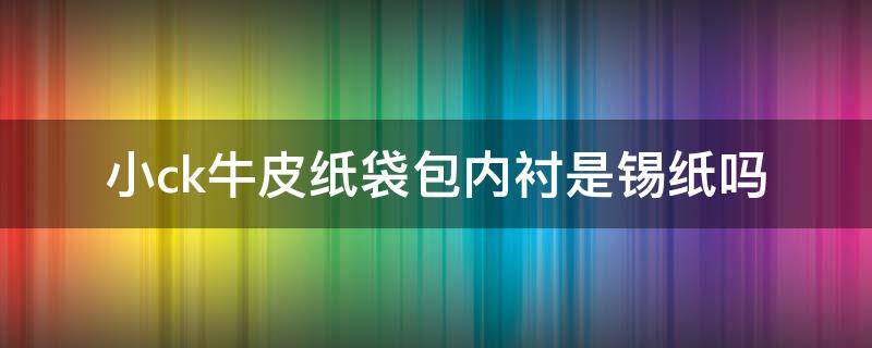 小ck牛皮纸袋包内衬是锡纸吗 小ck牛皮纸袋包多少钱
