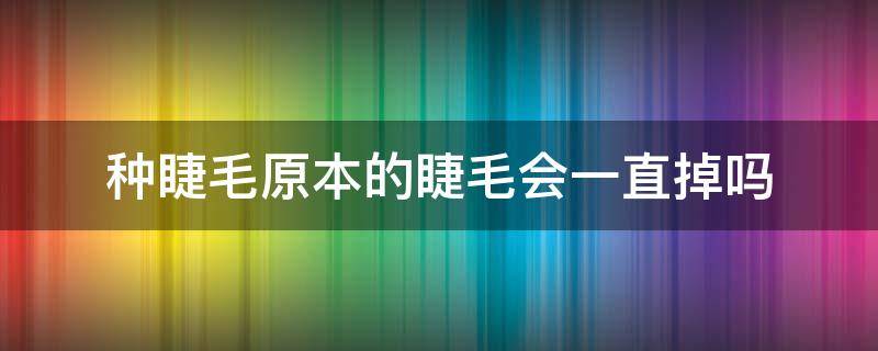 种睫毛原本的睫毛会一直掉吗 种睫毛原本的睫毛会一直掉吗图片