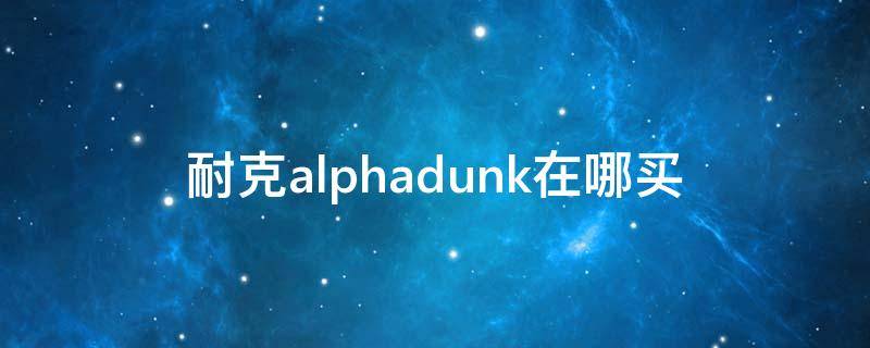 耐克alphadunk在哪买 耐克篮球鞋alphadunk